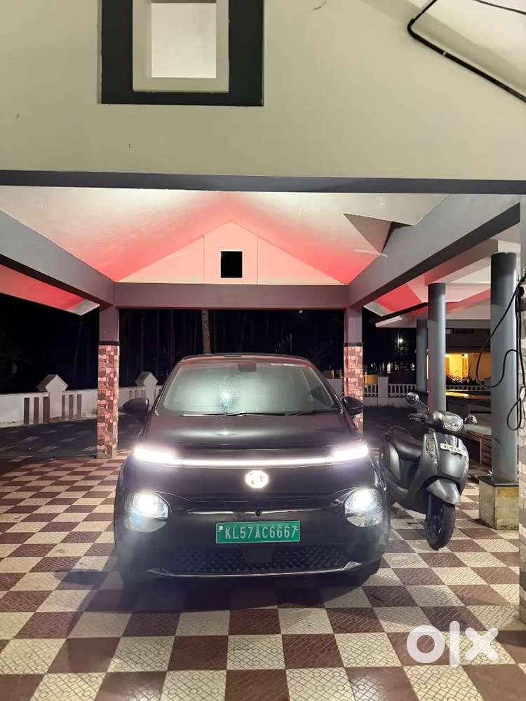 Mg Windsor Ev 2025