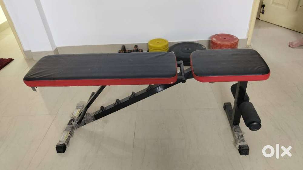 Bench for Home or Professional Gym Gym & Fitness 1753883626