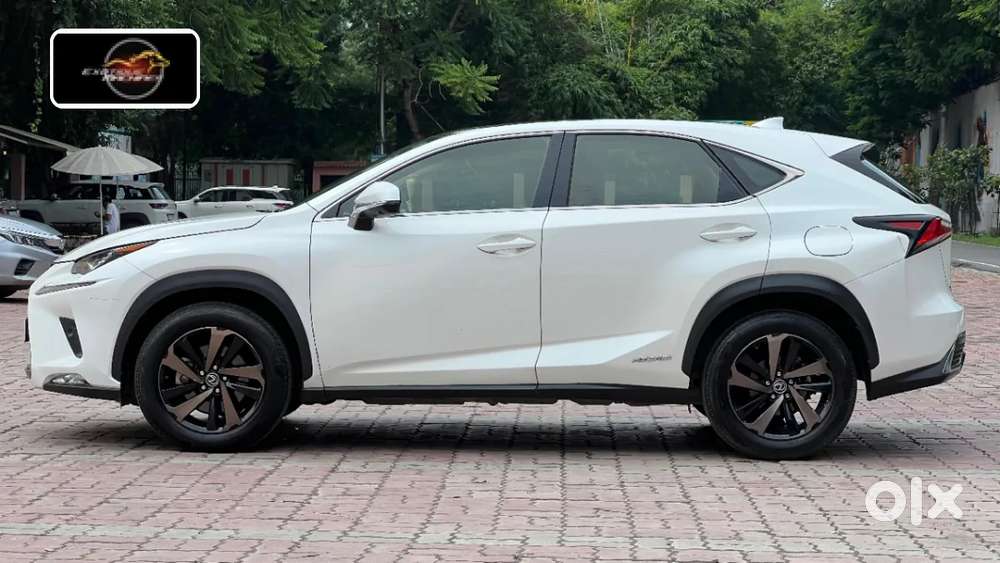 Lexus Nx, 2020, Petrol