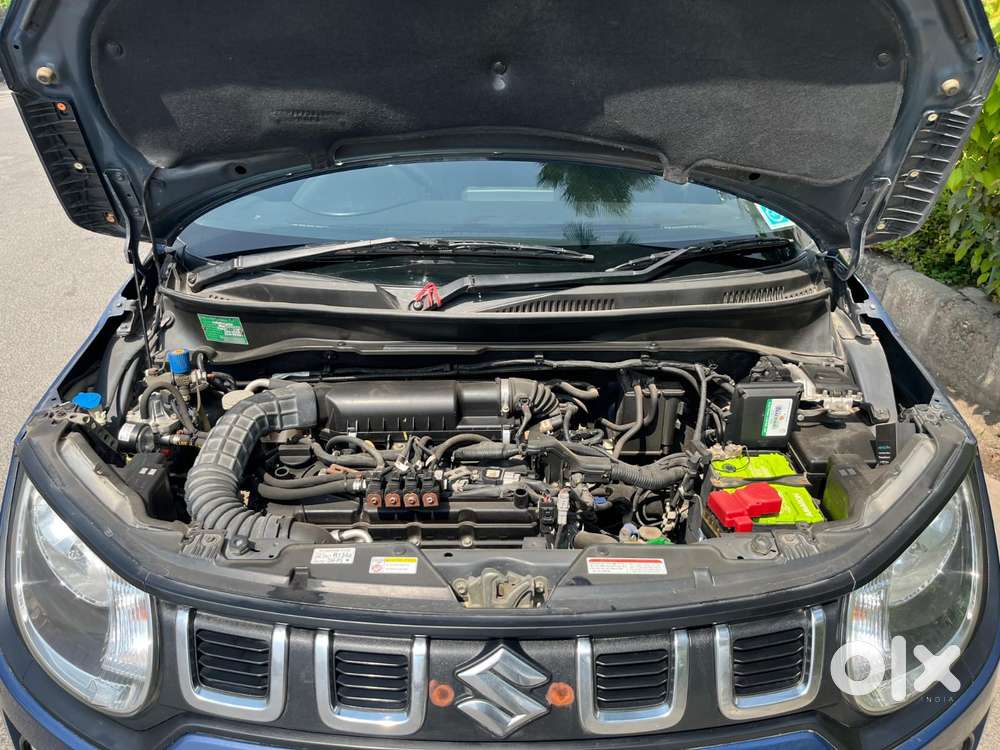 Maruti Suzuki Ignis, 2021, Cng & Hybrids