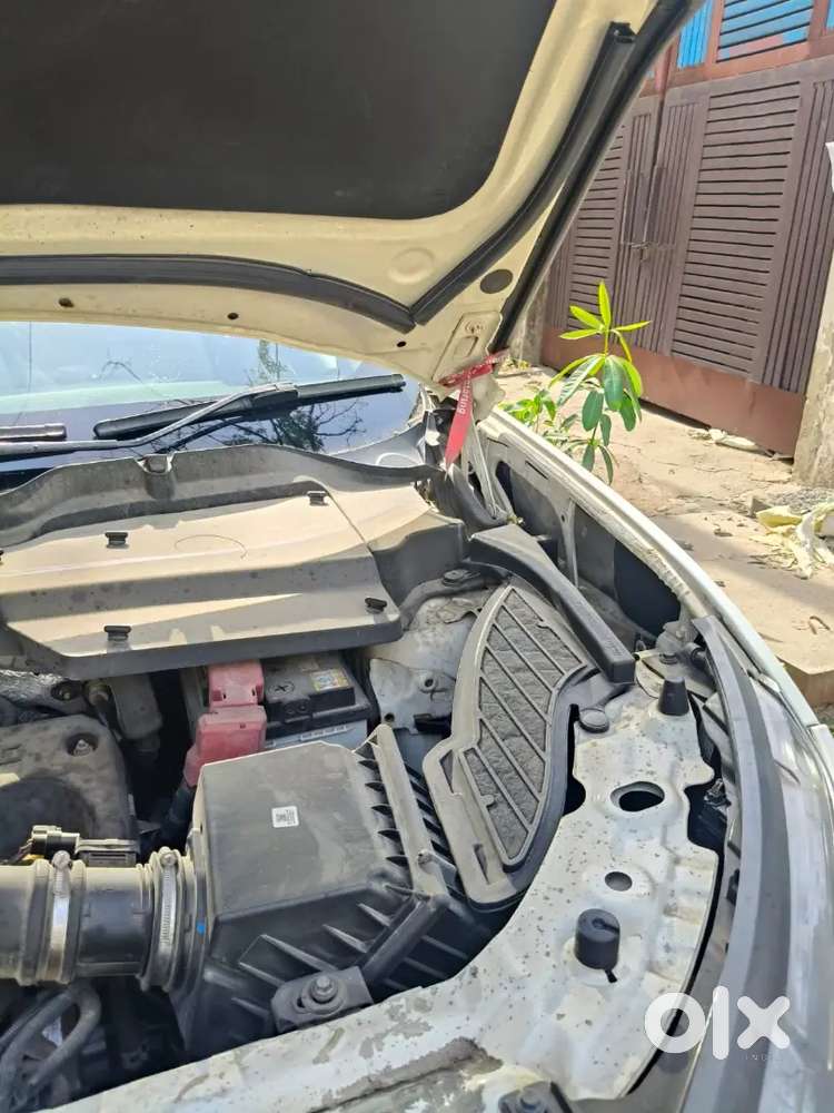 Tata Safari 2023 Diesel 46500 Km Driven