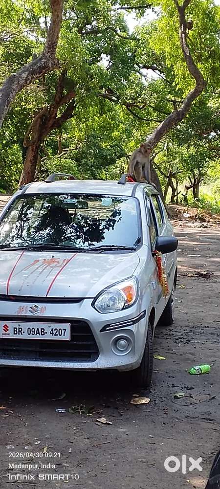 Maruti Suzuki Alto 800 2019 Petrol 70000 Km Driven