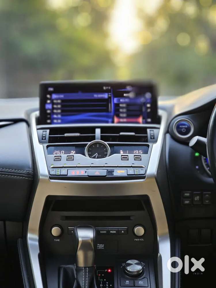 Lexus Nx 300h Luxury 2019