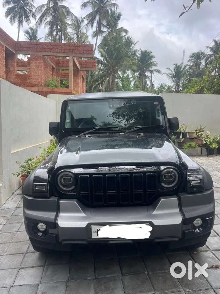 Mahindra Thar Roxx 2025 Petrol Well Maintained
