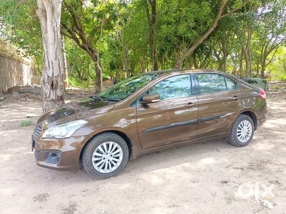 Maruti Suzuki Ciaz Diesel Manual 2016 Dl Car