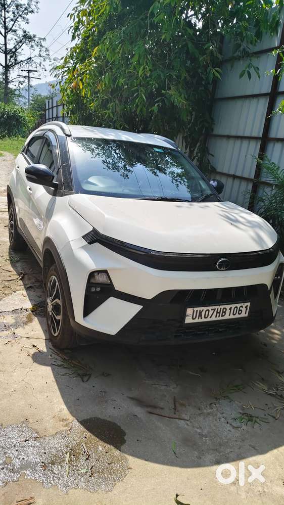 Nexon Pure Plus 2025