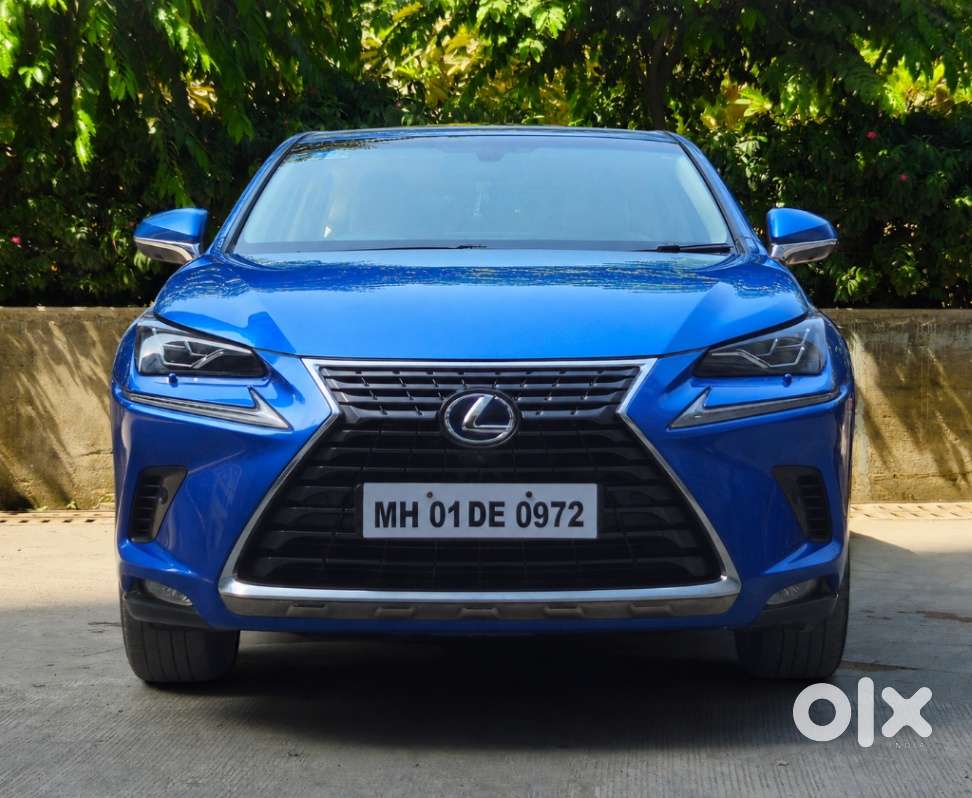 Lexus Nx Lexus-nx-300h-luxury, 2018, Petrol