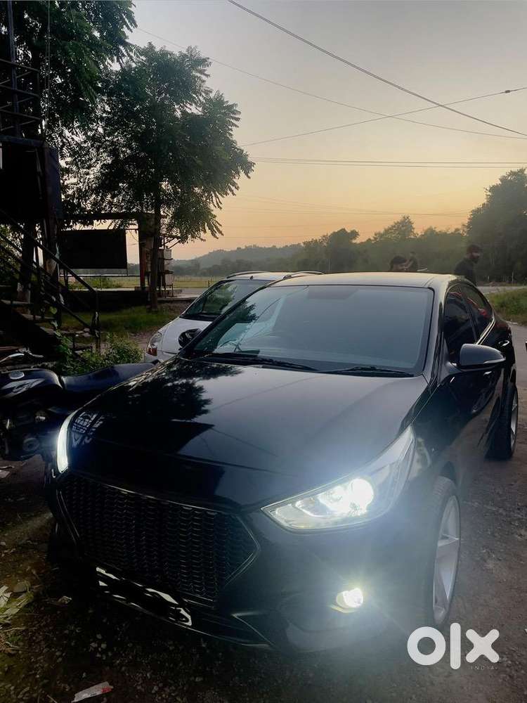 Black Verna 2020