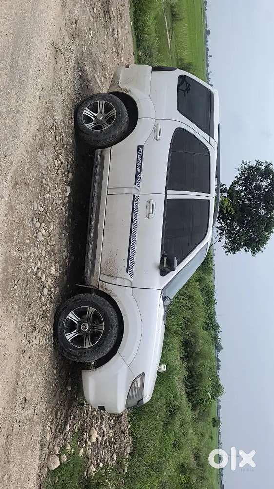 Selly My Safari Storme