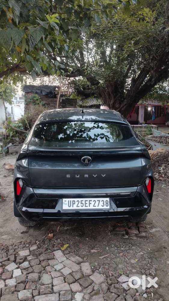 Tata Curvv 11/2024 Petrol Good Condition