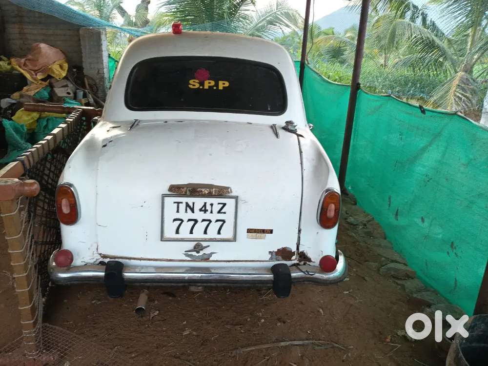 Ambassador Ambassador 1991