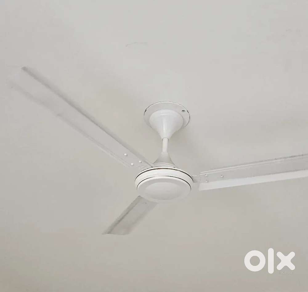 Ceiling Fan