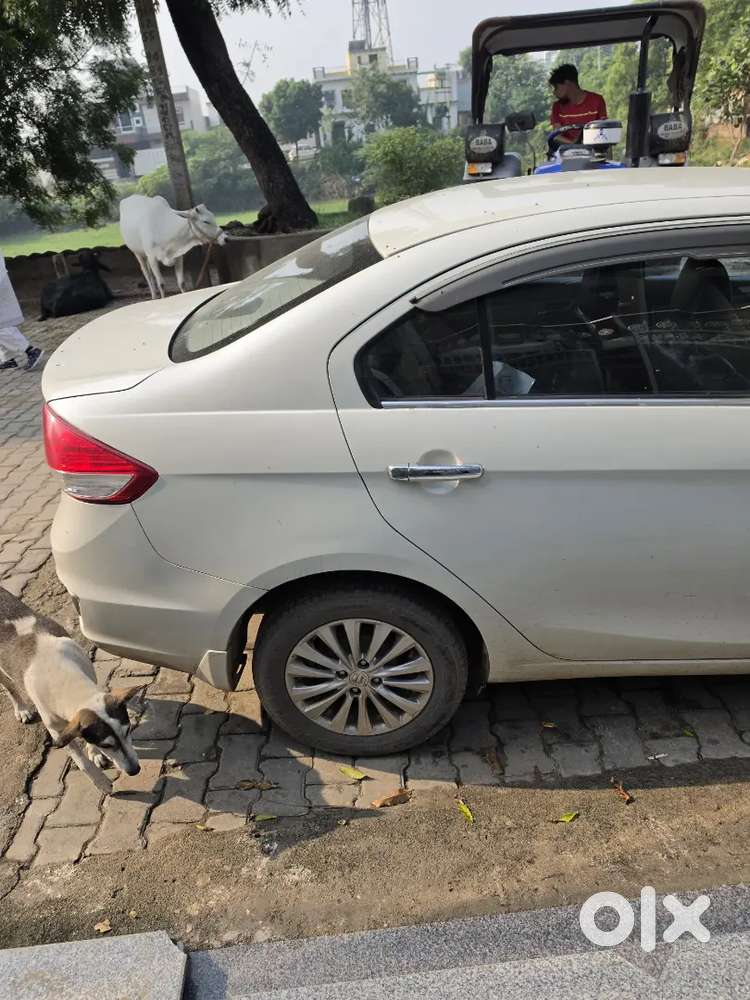 Maruti Suzuki Ciaz Petrol 2022