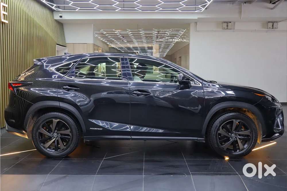 Lexus Nx, 2019, Petrol