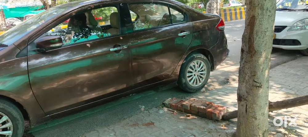 Maruti Suzuki Ciaz