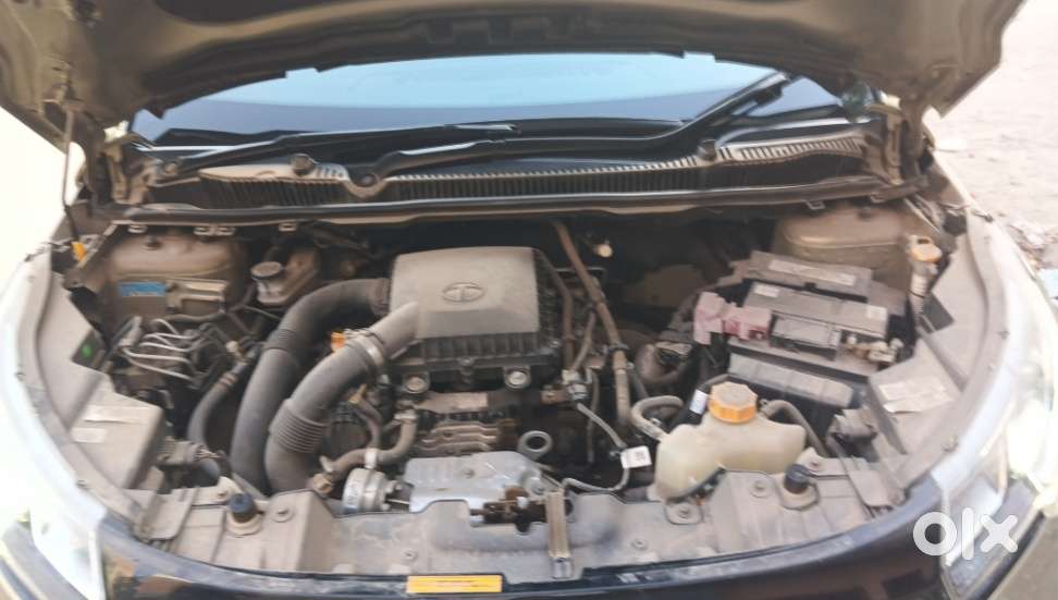 Tata Nexon Xz Plus Luxs Kaziranga, 2024, Petrol