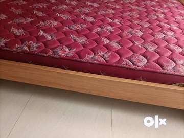 Kurlon double outlet cot bed