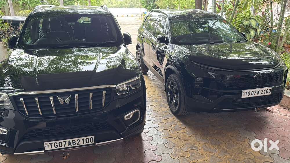 Brand New Scorpion 2025 Z8 L 6 Str