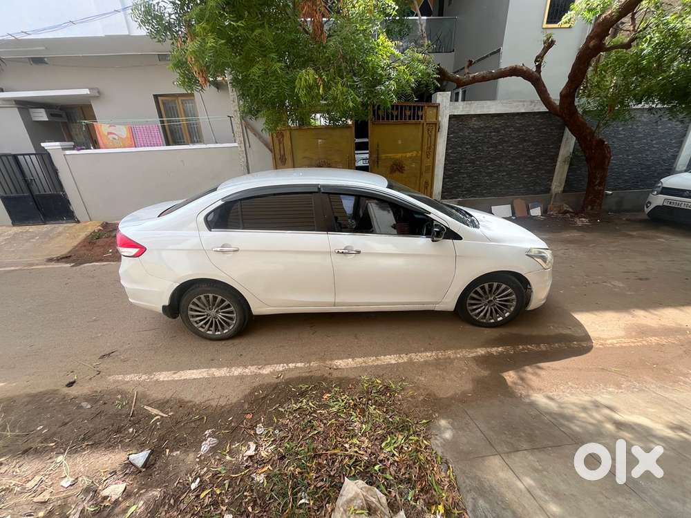 2016 Maruti Ciaz Diesel Manual Year Car