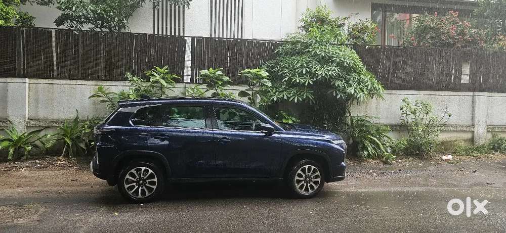 Maruti Suzuki Grand Vitara 2024 Petrol Well Maintained