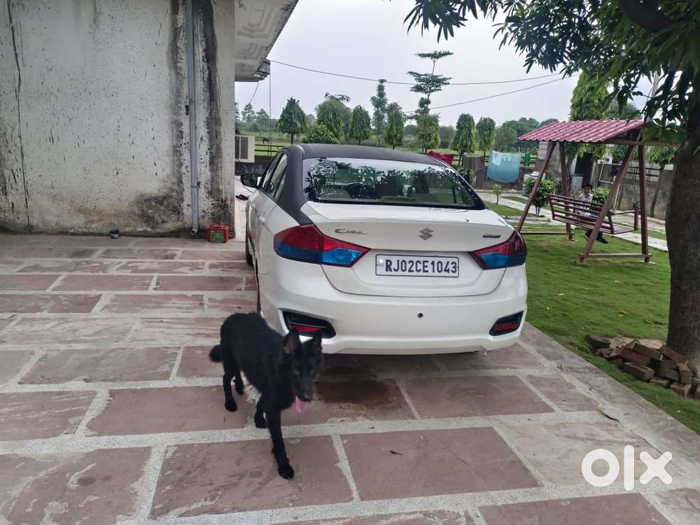 Maruti Suzuki Ciaz Smart Hybrid Sigma , 2018, Diesel