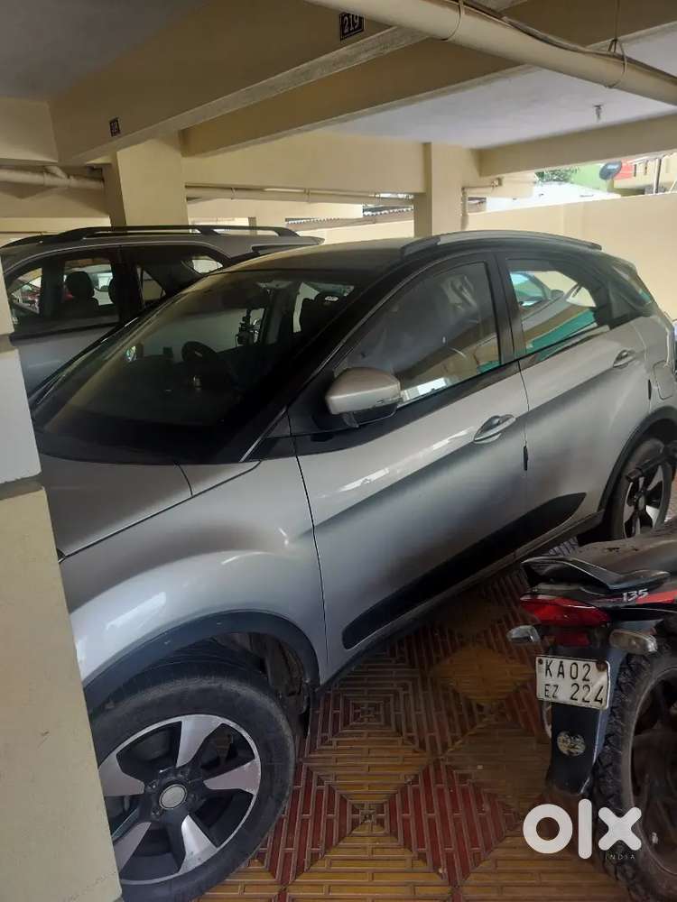 Nexon Duel Tone Top End Automatic 2018