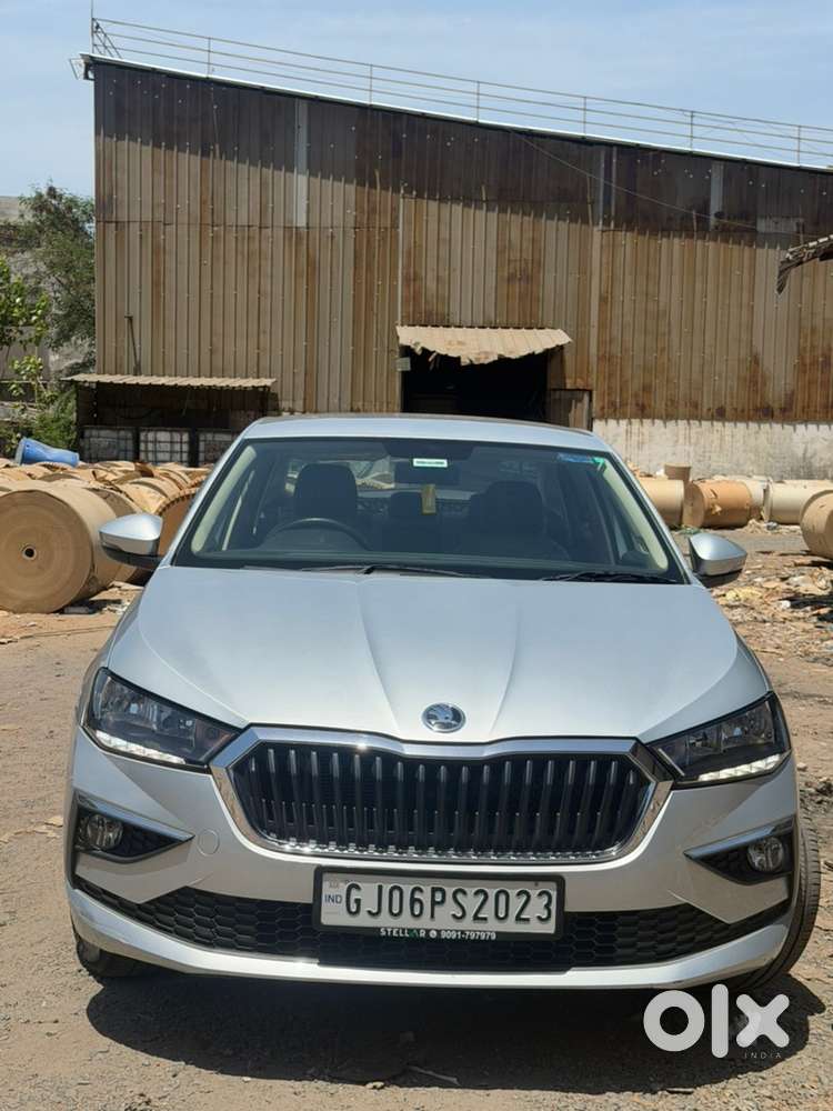 Skoda Car Manual 2024