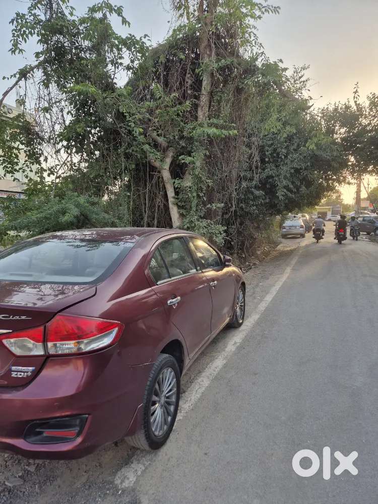 Suzuki Ciaz