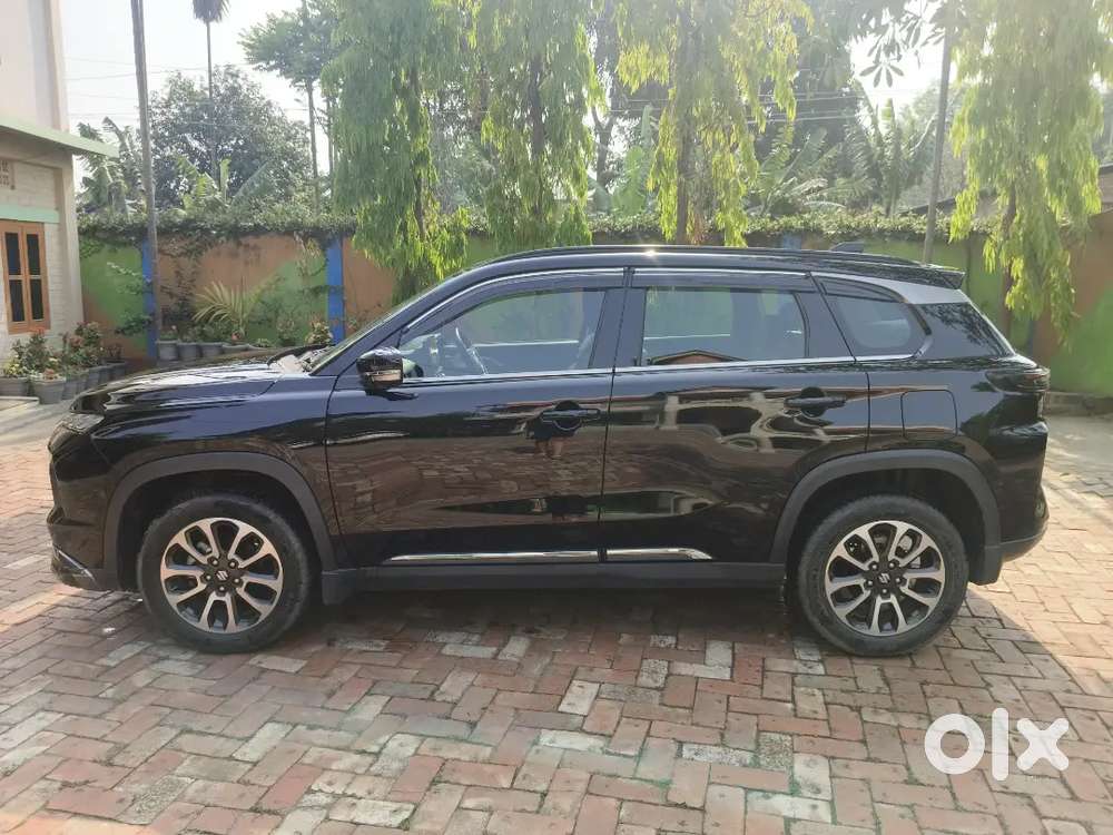 Maruti Suzuki Grand Vitara 2023 Petrol Well Maintained