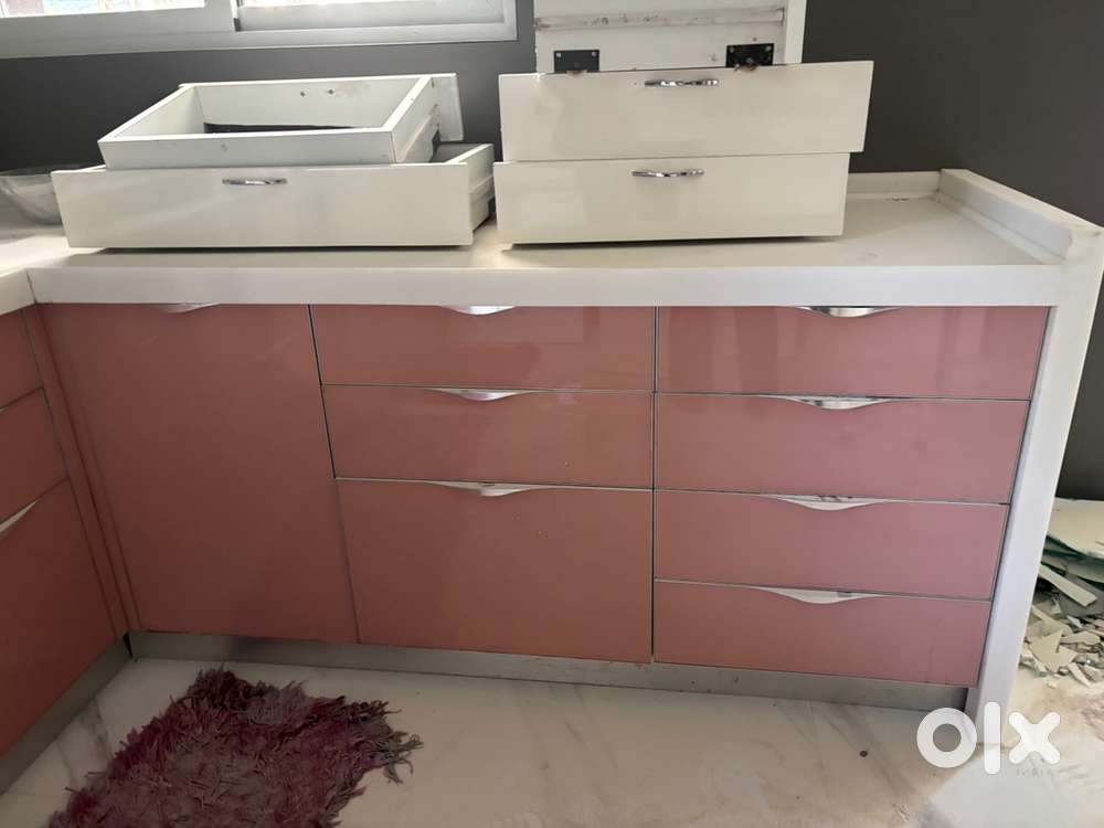 Kitchen trolley 9 with inbuilt dishwasher and chimney
