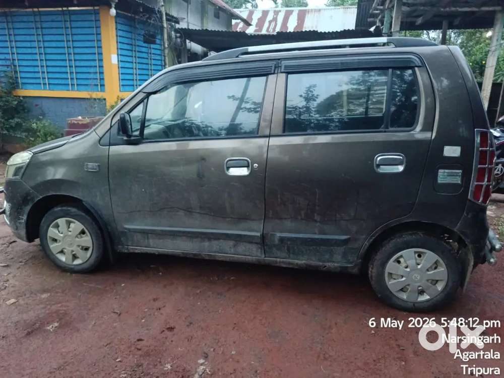 Maruti Suzuki Wagon R Flex Fuel 2013