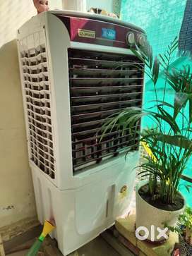 Monex cooler hot sale