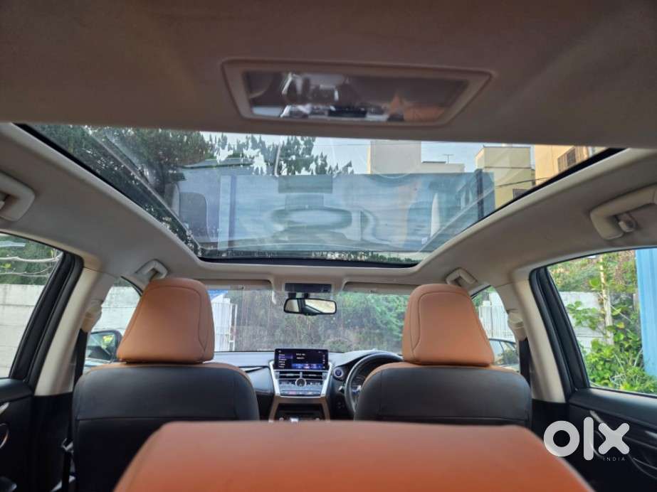 Lexus Nx Lexus-nx-300h-luxury, 2019, Petrol