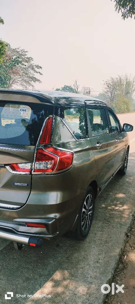 Zxi Plus Cng Petrol