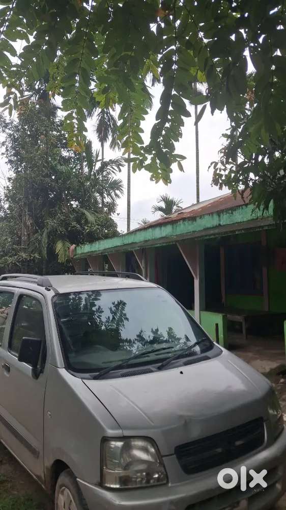 2009 Maruti Suzuki Wagon R