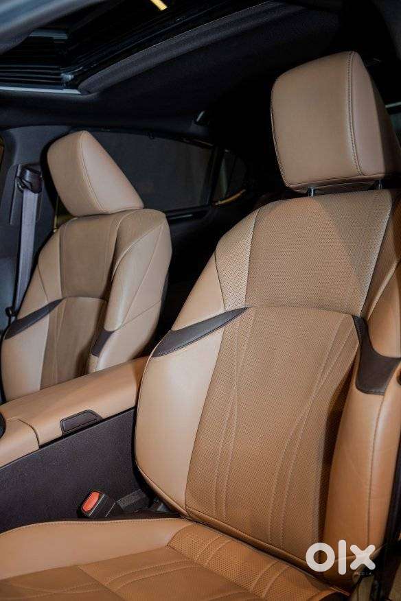 Lexus Es 300h Luxury, 2020, Petrol