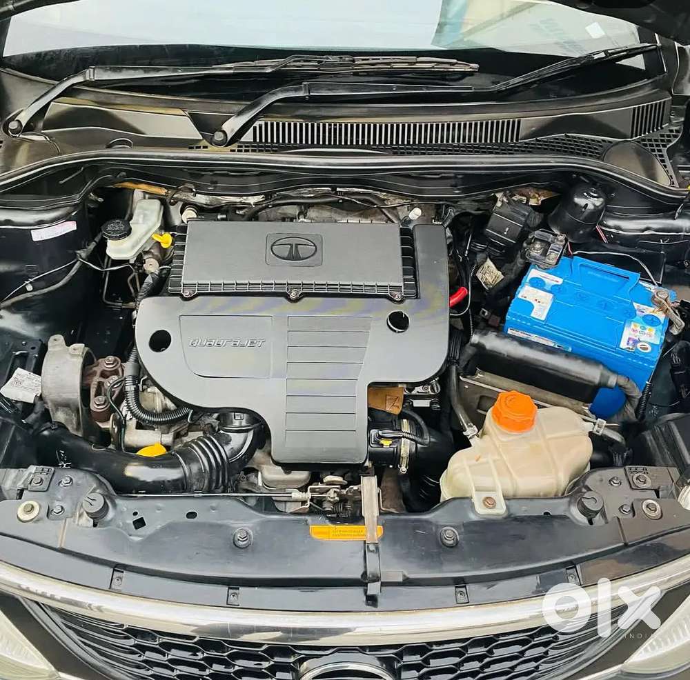 Tata Zest 2016 Petrol Well Maintained