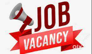 Professional P.S (PART TIME ) required at Vaishali Nagar office
