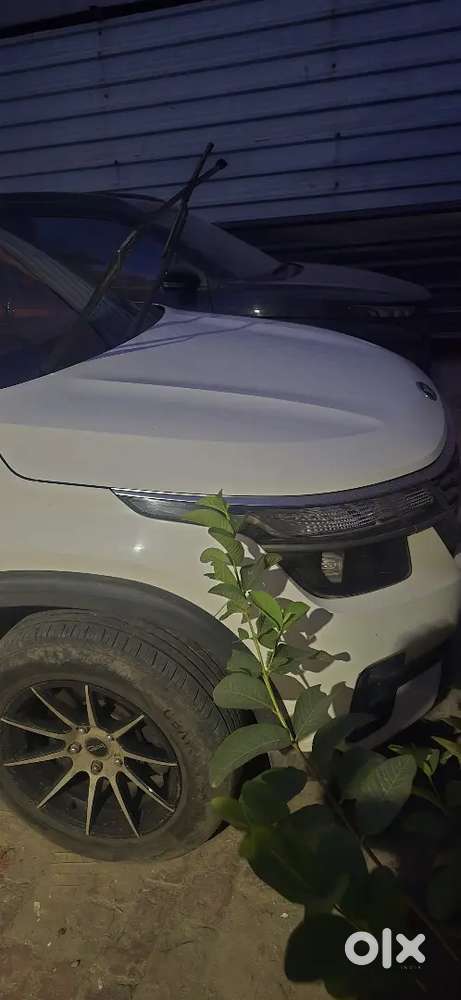 Car Is In Perfect Condition Mechanically And Some Minor Dent On Bumber