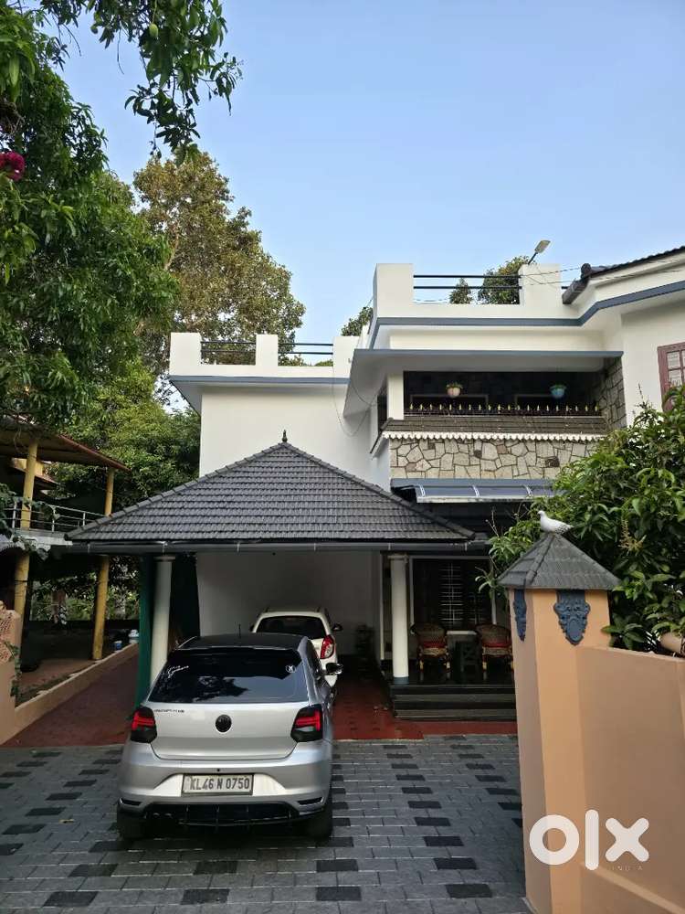 Meticulously Maintained Polo 1.5 Tdi