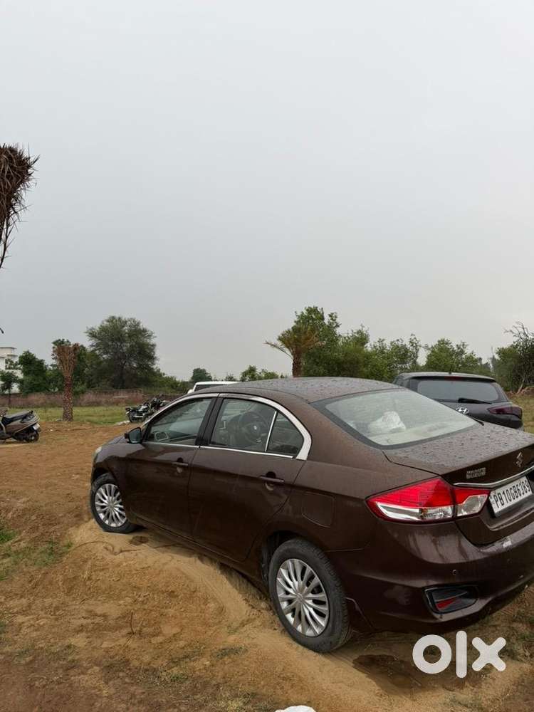 Maruti Suzuki Ciaz 2016 Diesel Well Maintained