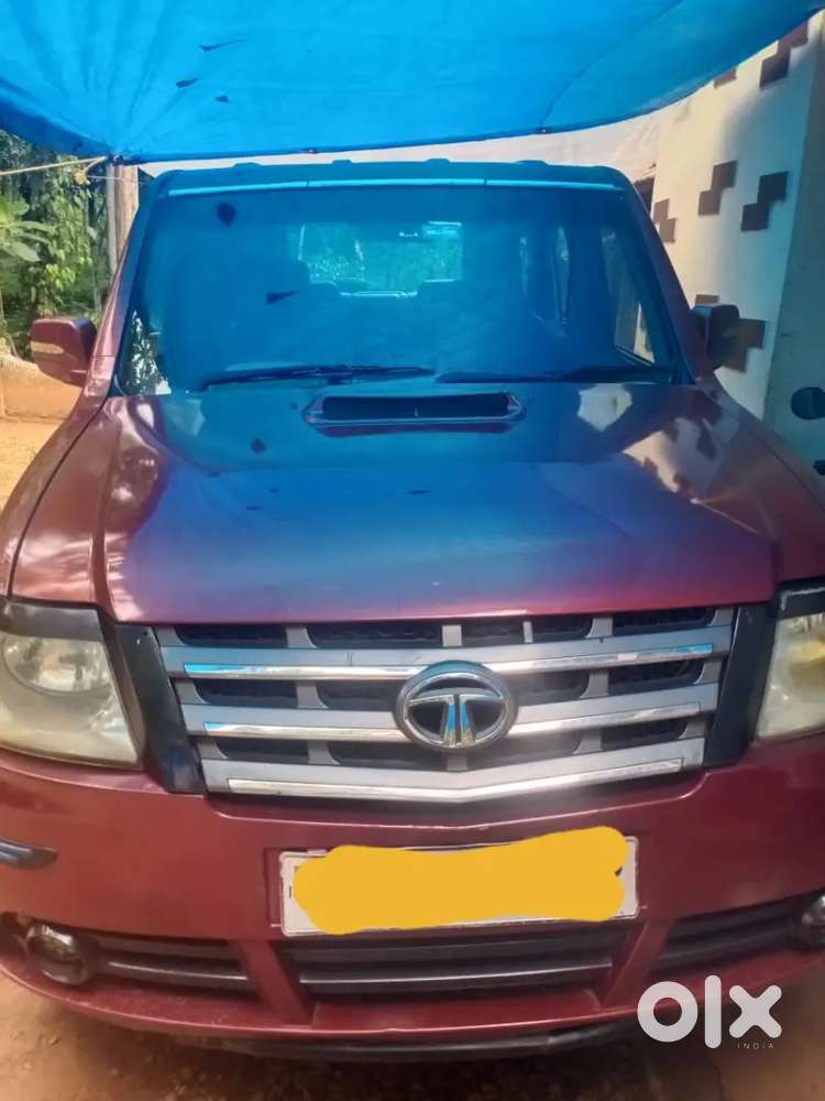 2010 Sumo Grande Gx