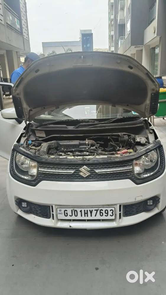 Maruti Suzuki Ignis 2018 Cng & Hybrids 96700 Km Driven
