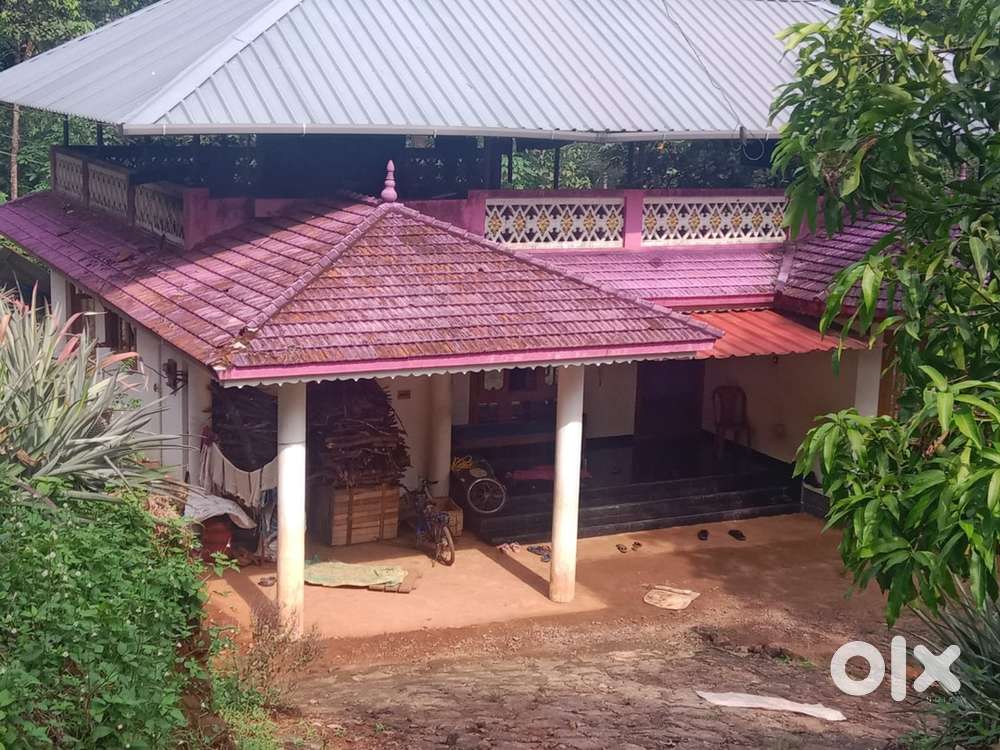 വീടും സ്ഥലവും വില്പനക്ക് തൊടുപുഴ തട്ടകുഴ
