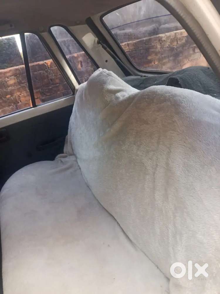 Maruti Suzuki 800 2005 Petrol +lpg 92000 Km Driven