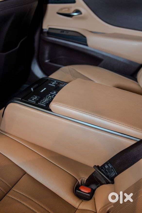Lexus Es 300h Luxury, 2020, Petrol