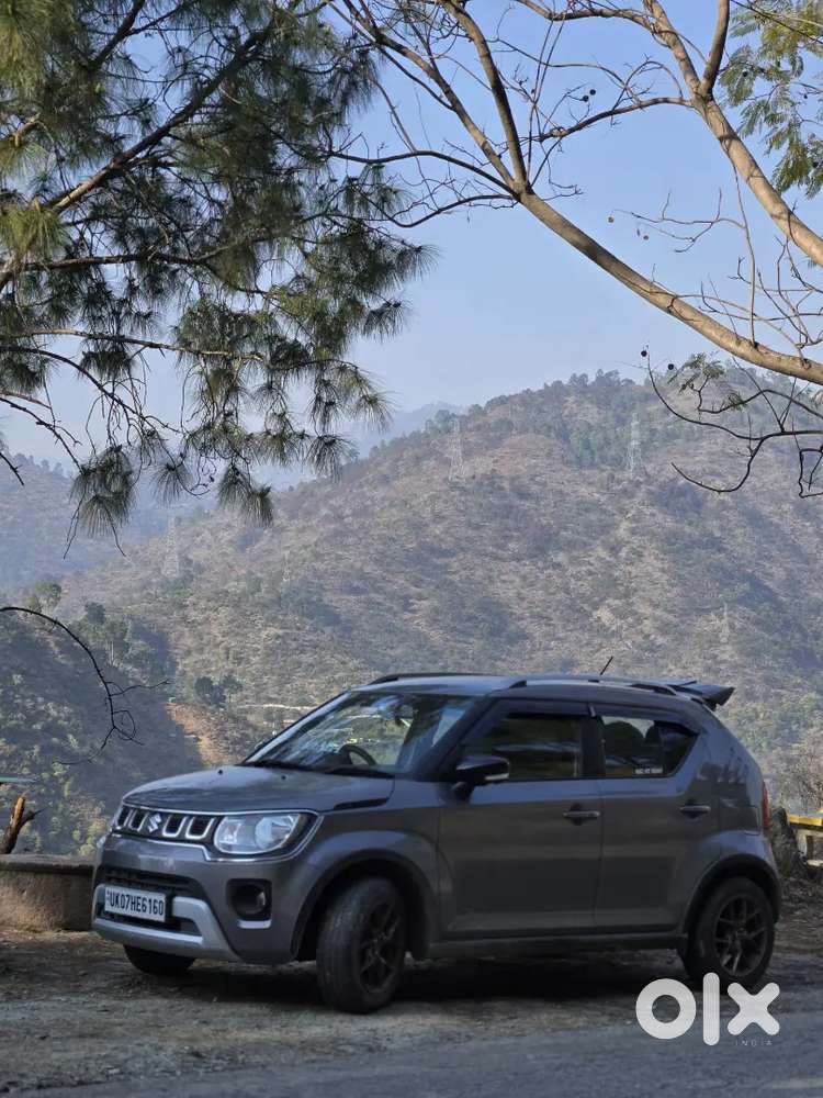 Ignis Maruti Suzuki 2025