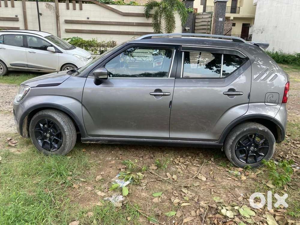 Maruti Suzuki Ignis 2023 Petrol Well Maintained