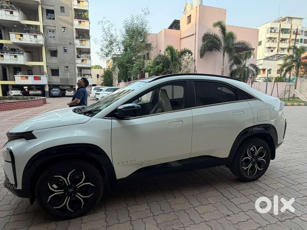 Tata Curvv December 2024