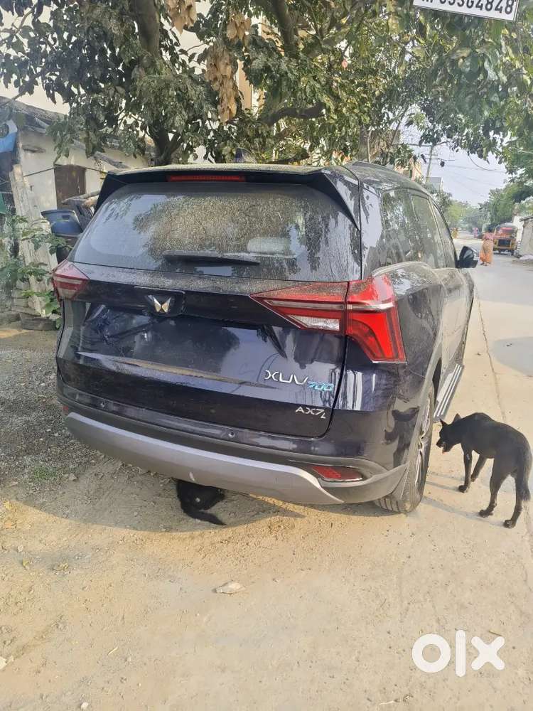 Look Like New Vehicle